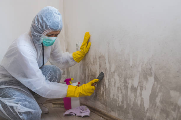 Best Mold Removal for HVAC Installations  in Allentown, NJ